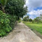 🌾 LÔ ĐẤT VƯỜN ĐẸP HIẾM CÓ – PHƯỜNG BẢO VINH – KHÔNG KHÍ TRONG LÀNH, VIEW CÁNH ĐỒNG 🌾