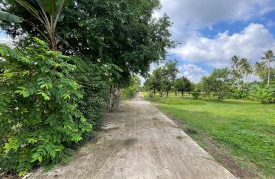 🌾 LÔ ĐẤT VƯỜN ĐẸP HIẾM CÓ – PHƯỜNG BẢO VINH – KHÔNG KHÍ TRONG LÀNH, VIEW CÁNH ĐỒNG 🌾