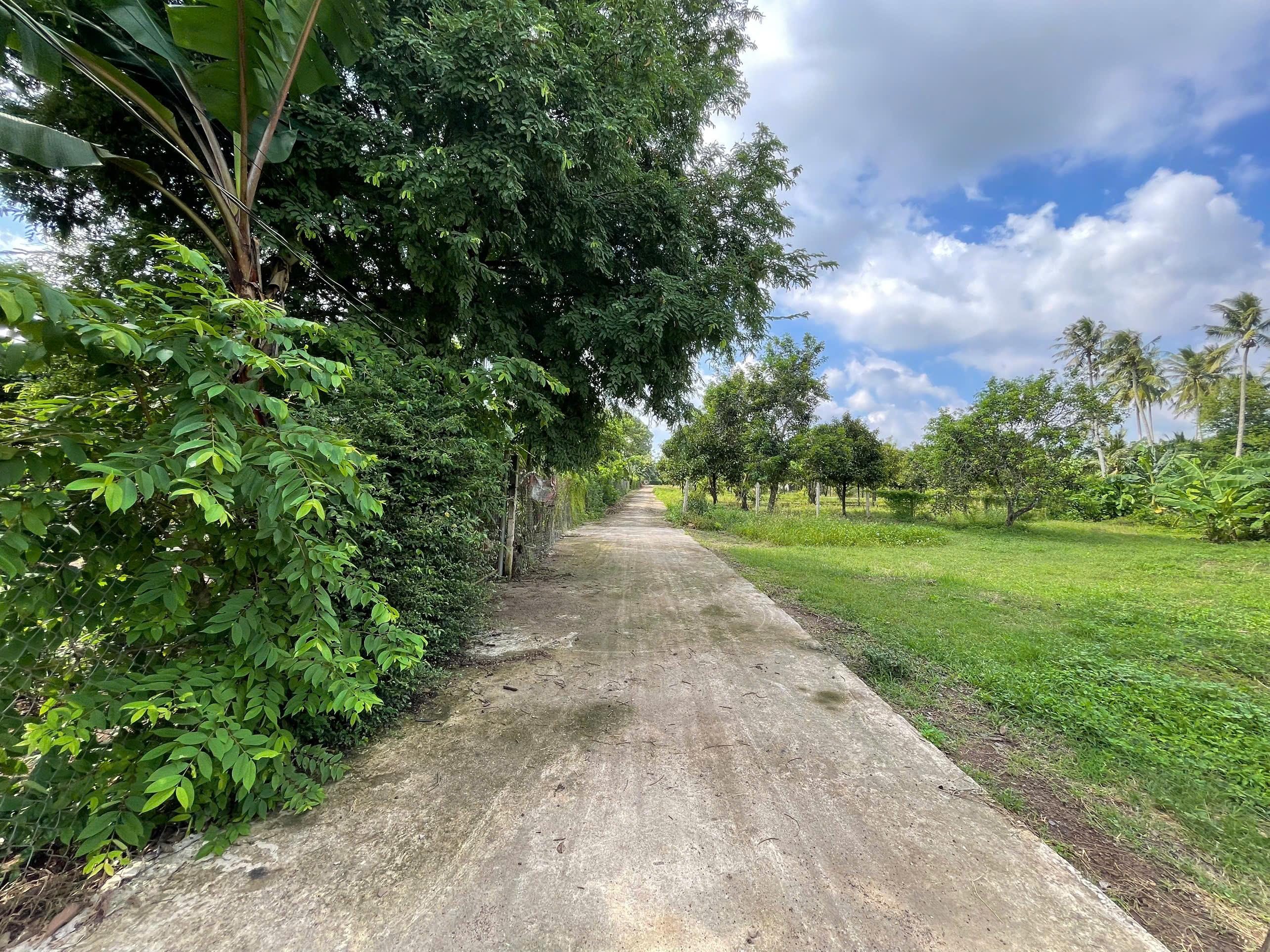 🌾 LÔ ĐẤT VƯỜN ĐẸP HIẾM CÓ – PHƯỜNG BẢO VINH – KHÔNG KHÍ TRONG LÀNH, VIEW CÁNH ĐỒNG 🌾