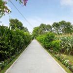 🌳 1 SÀO ĐẤT BẢO VINH – NGANG TẬN 17M, GIÁ CHỈ 840 TRIỆU!